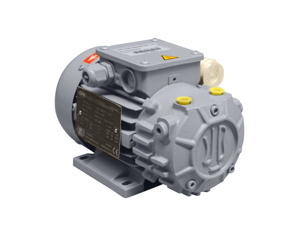 VD干式旋片泵 VD干式旋片泵