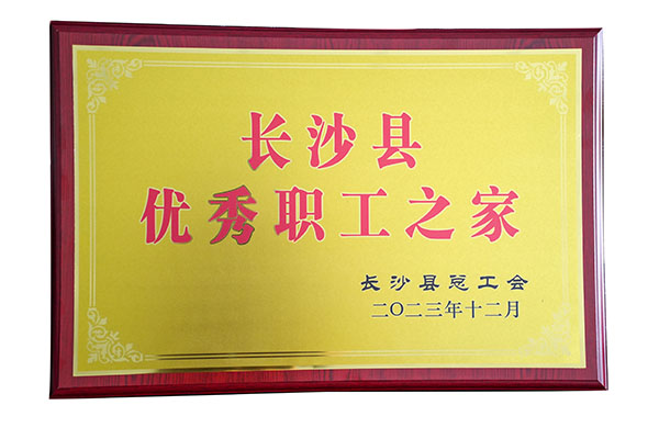 頂立工會榮獲“長沙縣優秀職工之家”稱號.jpg 頂立工會榮獲“長沙縣優秀職工之家”稱號.jpg